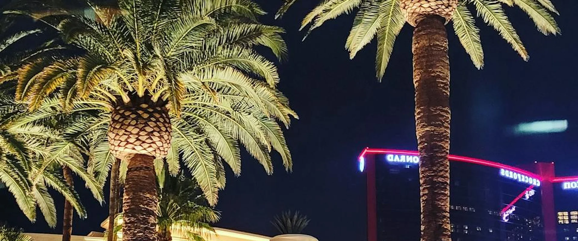 网络赌博PG电子